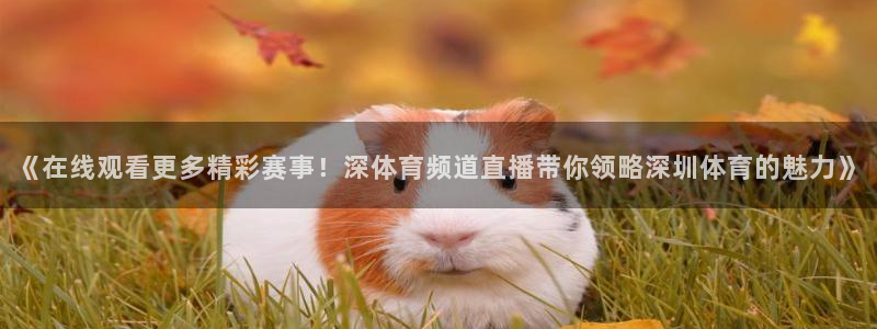 新闻图片