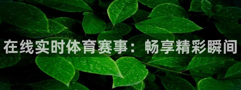 新闻图片