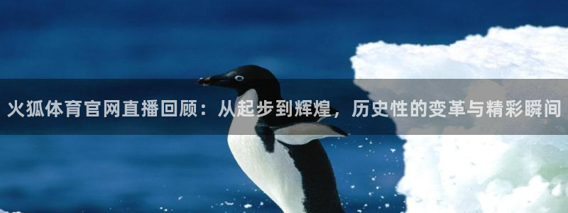 火狐体育官网直播回顾：从起步到辉煌，历史性的变革与精彩瞬间