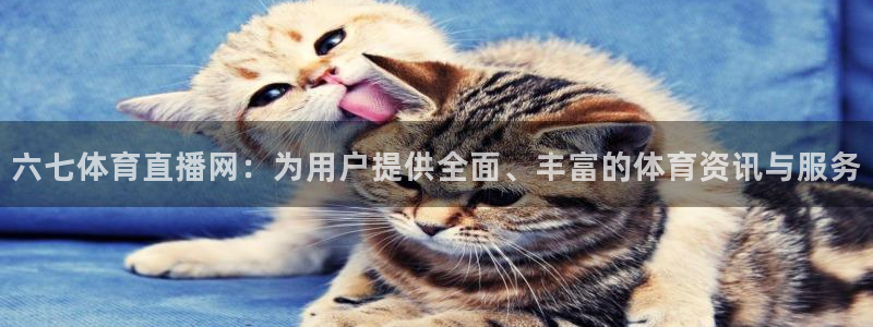 六七体育直播网：为用户提供全面、丰富的体育资讯与服务