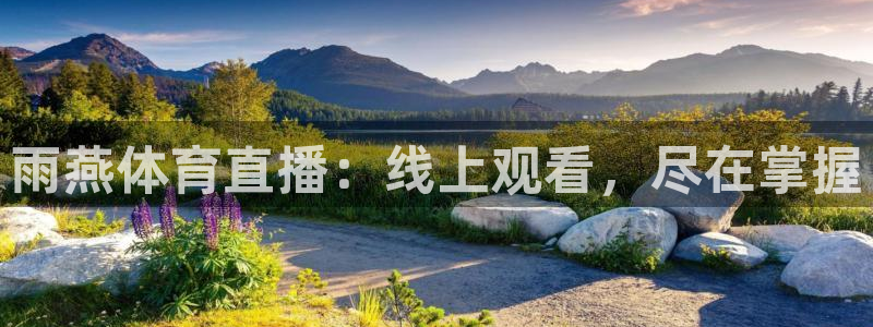 新闻图片