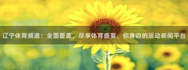 辽宁体育频道：全面覆盖，尽享体育盛宴，你身边的运动新闻平台